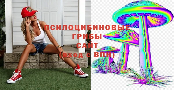 дживик Бронницы